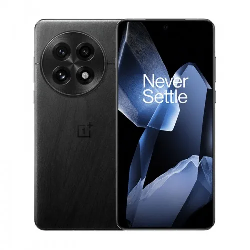 Смартфон OnePlus 13 (12+256) IND